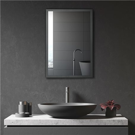 kleankin Miroir de Salle de Bain Porte en Alu + Cadre en Acier Inoxydable Murale Armoire à Glace avec 1 Porte Miroir et 2 étagèr