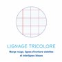 Clairefontaine 303181Cpack Un lot de 5 Cahiers Agrafés Mimesys - A4 21x29,7 cm - 140 Pages Grands Carreaux - Papier Blanc 90 g -