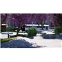Session: Skate Sim (Nintendo Switch)