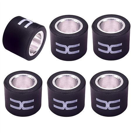 cyclingcolors 6x Galet de variateur 19x15.5mm Scooter Rouleau Variomat Transmission Moteur (8.0g)