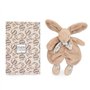 DOUDOU ET COMPAGNIE - Lapin Doudou beige sable – Peluche Ultra Douce avec Foulard Fleuri – Doudou Plat Bébé Fille dès la Naissan