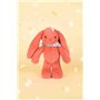 DOUDOU ET COMPAGNIE - Lapin Fleurette Terracotta 25 cm – Peluche Bébé Mixte Ultra Douce avec Foulard Fleuri – Doudou Naissance C