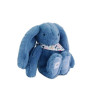 DOUDOU ET COMPAGNIE - Lapin Fleurette Bleu 25 cm – Peluche Bébé Ultra Douce avec Foulard Fleuri – Doudou Naissance Mixte – Color