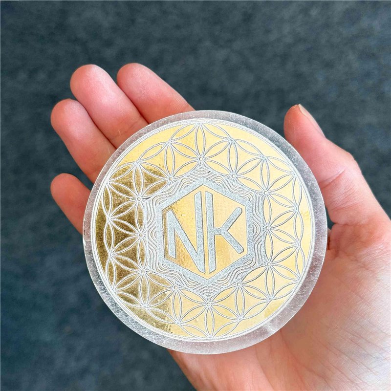 FP INOX Taquet Nylon Blanc (Lot de 2) Longueur 145mm