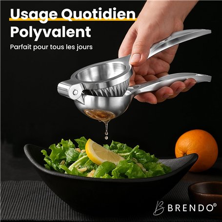 ROBOT SAUVAGE (LE) - DVD