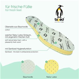 Paris Istanhbul Shangai