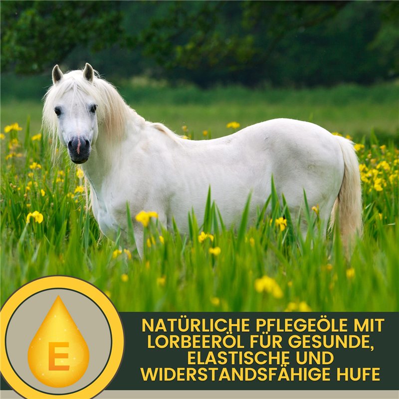 Le linge de Jules Housse Couette 240x260 + 2 taies - Pur Coton 57 Fils - New York Gris