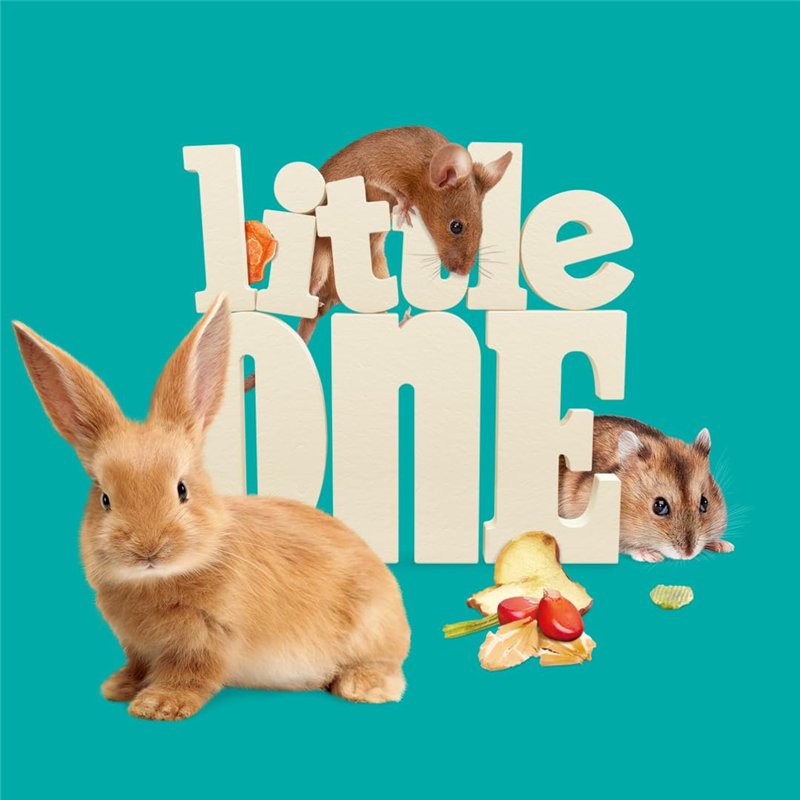 Manahia Porte clés Cadeau Marraine - Meilleure Marraine - Bijoux Marraine - Baptême - Annonce Grossesse - Demande Future Marrain