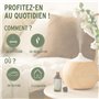 BEL AIR balade en Forêt huiles essentielles bio diffuser sapin pin sylvestre parfum air purifiant