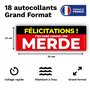 18 étiquettes STATIONNEMENT GENANT pour véhicule mal garé - Grand Format 7,4 x 21 cm - Stickers autocollant