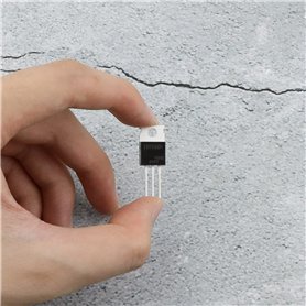 Asmodee -AGRICOLA :Les Fermiers de La Lande -Édition la Big Box-Jeu de Société pour Adultes et Enfants dès 10 Ans -Avec Jeu de B