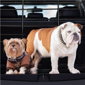 Paulmann 94728 luminaire d'extérieur LED Plug & Shine Proj. jardin Sting spot indiv. respect insectes IP67 2200K 6,3W Anthracite