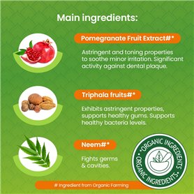 folia 6122/4/09 – Lot de 100 Feuilles de Papier cartonné