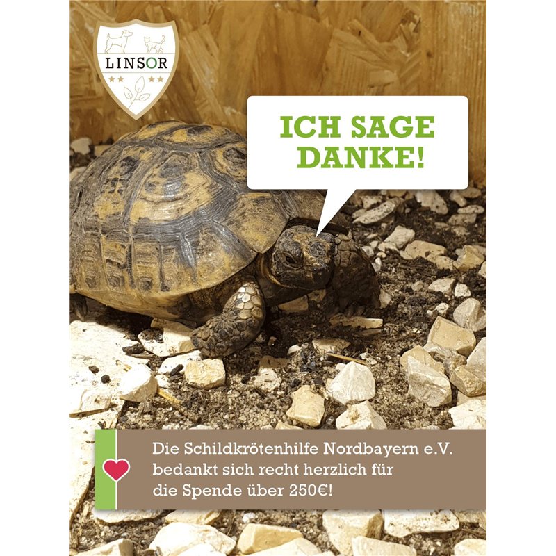 Jada Toys Street Fighter Figurine (1 Figurine Mystery dans Un Pack Aveugle) – Figurine à Collectionner détaillée (4 cm), 1 Figur