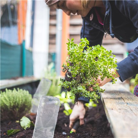 Un vélo d'apprentissage