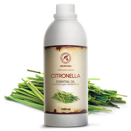 PLAYMOBIL 71798 Snowboarder avec rampe de glisse