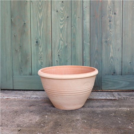 Caisse à Monnaie camouflée