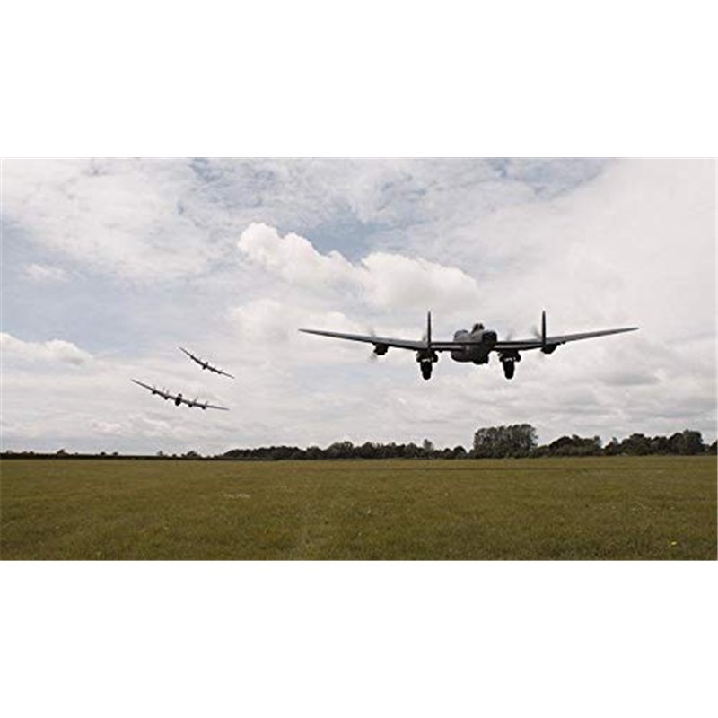 Continental Contitech AVX10X1110 Courroie trapézoïdale