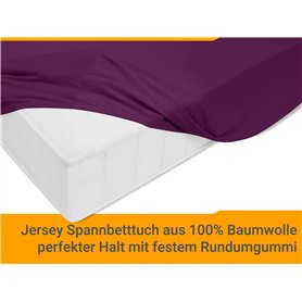 Steba RC 210 Swiss Style Raclette fromage