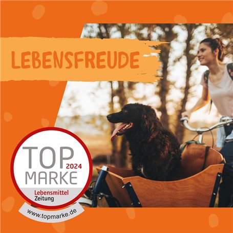 HAN 957-11 Boîte à fiches pour env. 1 300 fiches A7 orientation paysage 133 x 121 x 360 mm (Gris clair) (Import Allemagne)