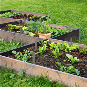 SACHS 3074 003 378 Câble D'Embrayage pour Renault 19 (B/C53_) 1988-1994 et autres véhicules