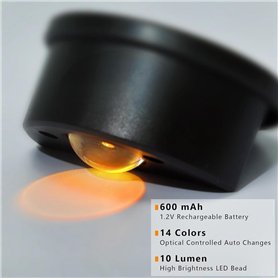 Lamy Lot de 3 stylos d'apprentissage 009 adaptés aux enfants en bois d'érable