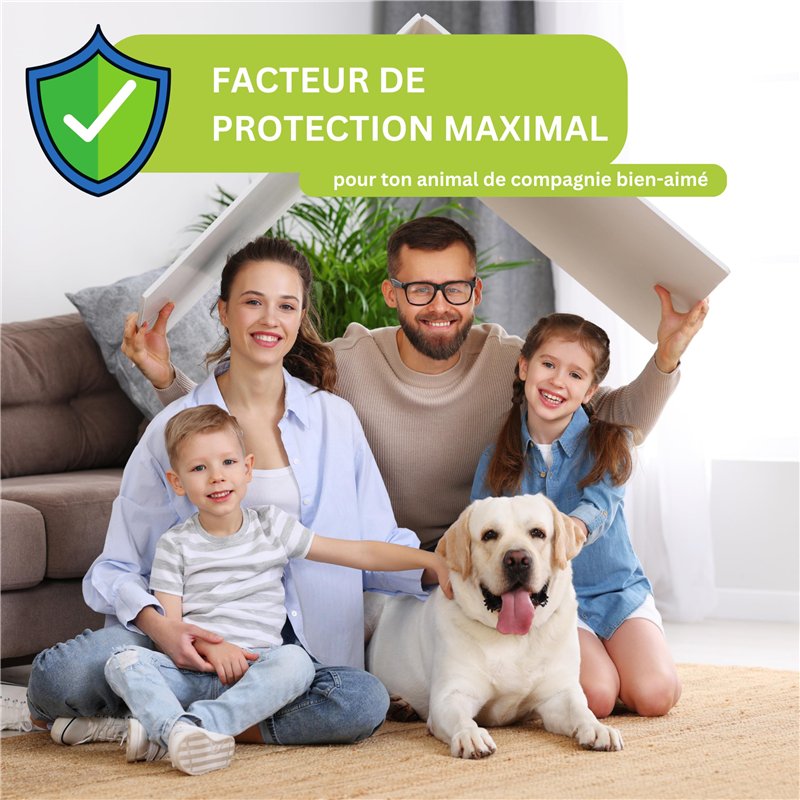 BRILLIANT TOOLS BT031020 Jeu de tournevis avec embout à frapper, 5 pcs, plat, PH Phillips [Powered by KS TOOLS]