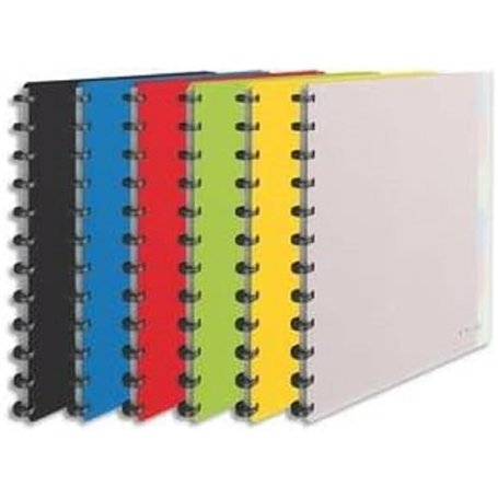 ESSELTE Protège-documents 25 pochettes amovibles 264 x 310 x 21 mm Couleurs assorties