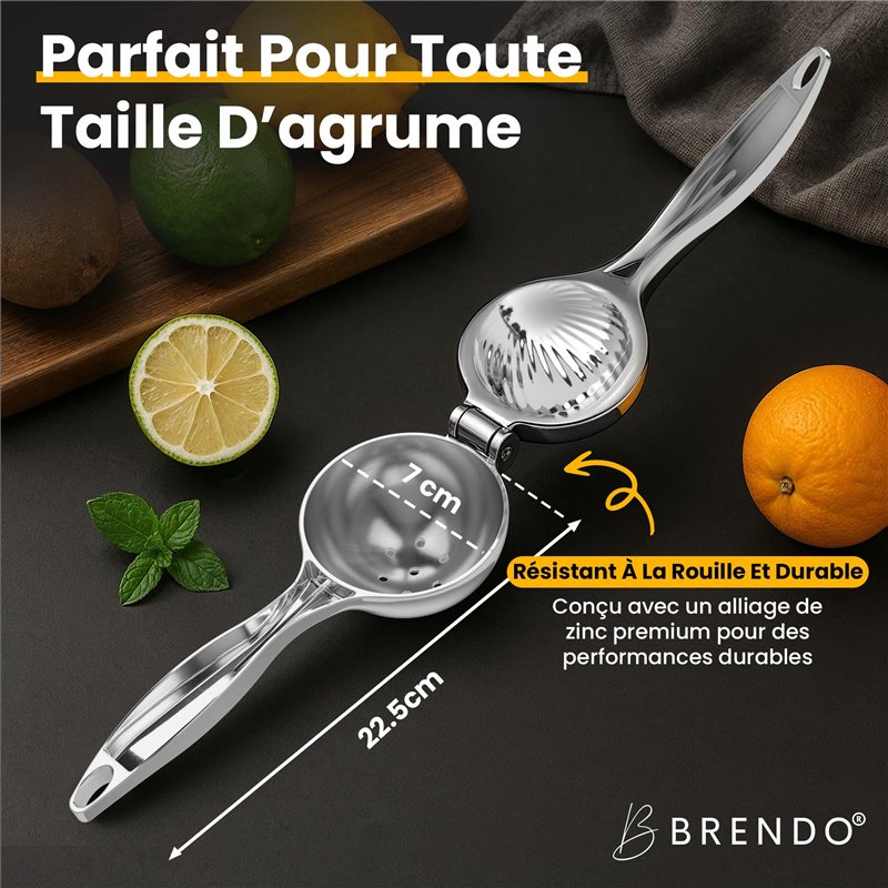 bruder 02020 - Fliegl Tonneau-remorque avec épandeur à tuyaux traînés - 1:16 Tonneau à lisier, chariot à lisier, tonne à ordure,