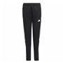 Pantalon de Sport pour Enfant Adidas Tiro 23 Club
