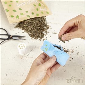 Short de Sport pour Homme Adidas Essentials