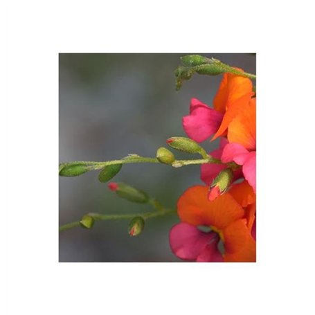 HELLA 4Dn 008 768-191 Centrale Clignotante - Électrique