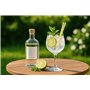 Topkapi 250.905 Gin Momento Lot de 6 Verres à gin Tonic Ballon de la série Bar & Lounge 630 ML XL