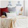 Blumtal Lot de 2 taies d'oreiller, 50 x 70 cm, certifiées Oeko-TEX, 100 % microfibre extra douce, lavable en machine, housse de
