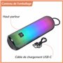 MusicMan Enceinte Bluetooth Portable avec lumières Disco RVB, Radio FM, Lecture USB et MicroSD, Batterie 1800 mAh, Microphone in