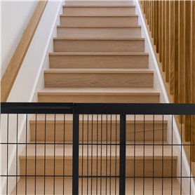 Ha-Ra Kit d'entretien complet I Soin complet concentré 500 ml & Rollfix (vide) I Nettoyant universel pour la maison, le jardin e Ha-Ra Kit d'entretien complet I Soin complet concentré 500 ml & Rollfix (vide) I Nettoyant universel pour la maison