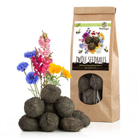 12x Bombes de graines pour un pâturage coloré pour les abeilles - Graines de fleurs sauvages colorées & riches en nectar pour le