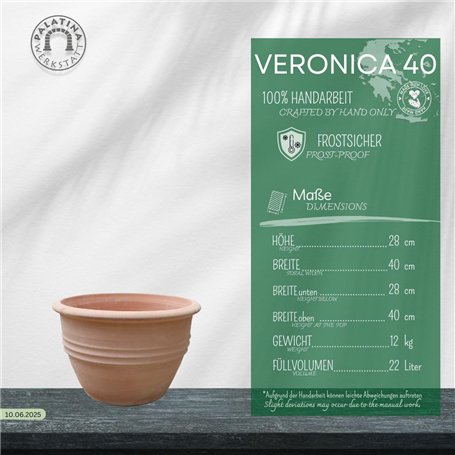 Candelo Lot de 16 bougies votives dans un verre - Bougies de table blanches élégantes - 12 heures de combustion sans parfum - Po Candelo Lot de 16 bougies votives dans un verre - Bougies de table blanches élégantes - 12 heures de combustion sans parfum - Po