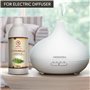 Huile de Citronnelle 1000ml - Huiles Essentielles Aromathérapie pour Diffuseur et Humidificateur - Cymbopogon Winterianus - Nett