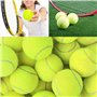 XIAOJUN Lot de 6 balles de tennis élastiques résistantes à l'usure 66 mm balle de tennis pratique pour débutants, noir