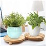 Pylorixz 2 PCS Planche de Socle Rond Riser Planche de Présentation en Bois Planche de Socle Pot Fleuri Support Élévateur Couleur