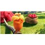 Der Lorax [Import]