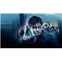 Harry Potter - Coffret Intégrale 8 Films [Blu-Ray]