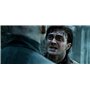 Harry Potter et les Reliques de la Mort - 2ème partie - Année 7 - Le monde des Sorciers de J.K. Rowling - DVD