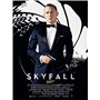 James Bond 007-La Collection Daniel Craig : Casino Royale + Quantum of Solace + Skyfall + Spectre