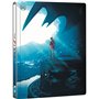 The Flash Steelbook [4K Ultra HD] [2023] [Blu-ray] [Region Free]