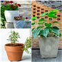 Belle Vous Lot de 40 Pied Pot de Fleur Invisible - Pied Caoutchouc Noir pour Plantes - Tampon Antidérapant Auto-Adhésif pour Pot