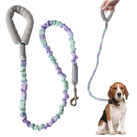 Longe pour Chien 120 cm