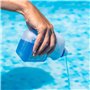 BSI - PooLSan - Solution sans Chlore - pour Une Désinfection des Petites Piscines Gonflables - Jusqu'à 2 A 3 Mois - Elaboré en E