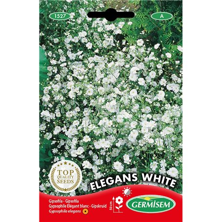 Germisem Graines Gypsophile Elégant blanc ELEGANS WHITE